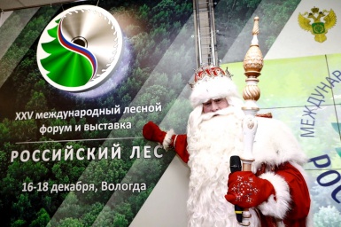 На Вологодчине начала работу XXV Международная выставка «Российский лес»